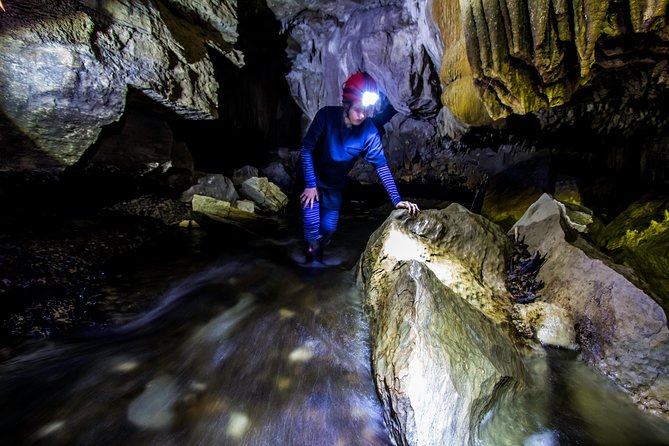 Waitomo’s Hidden Gem: Small-Group Off the Beaten Track Tour - Who should choose this experience?