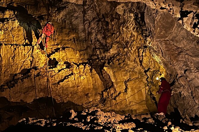 WAITOMO - Twin Caves Discovery - Private Day Tour from Auckland - Lunch and a pause at Waitomo Homestead