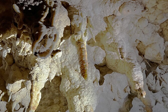 WAITOMO - Twin Caves Discovery - Private Day Tour from Auckland - The return journey through Mercer