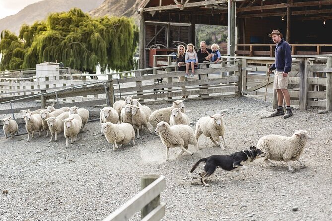 Walter Peak Gourmet BBQ Lunch & Queenstown Lake Cruise - Queenstown’s vintage crossing on Lake Wakatipu
