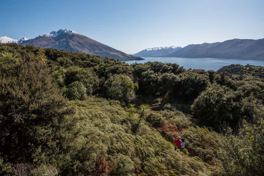 Wanaka Water Taxi Mou Waho Island Tour - Why Mou Waho Island is worth your half-day