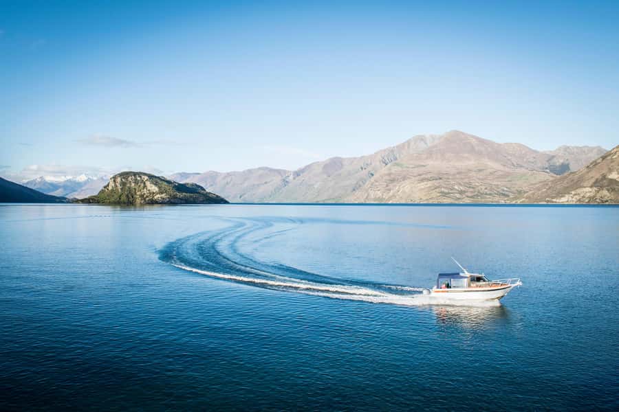 Wanaka Water Taxi Mou Waho Island Tour - Wildlife, birds, and the chance to swim