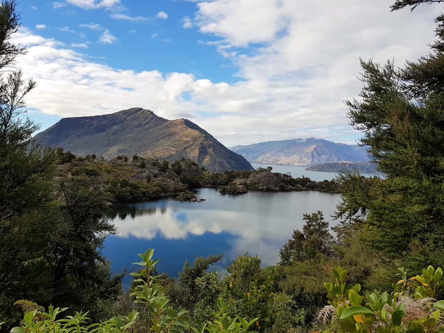 Wanaka Water Taxi Mou Waho Island Tour - Who will enjoy this Wānaka activity most