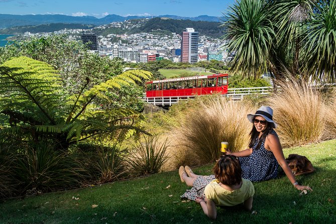 Wellington Cave to Coast Highlights Tour (5 Hours with Lunch) - A fast way to understand Wellington