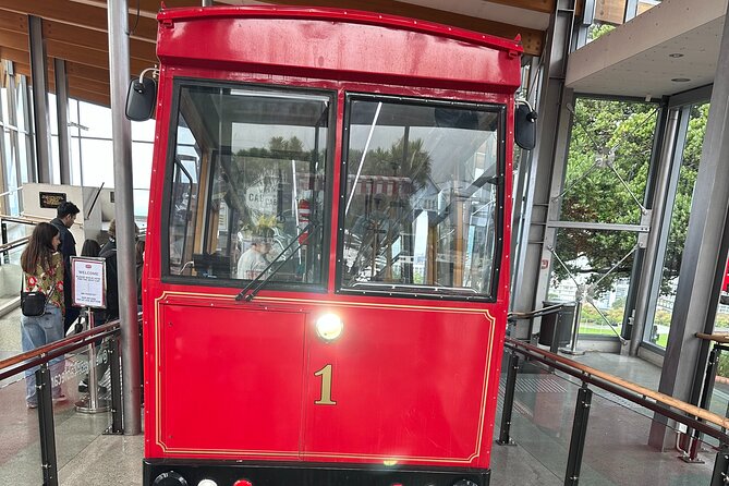 Wellington city heights shared sightseeing tour - Why this five-hour route works so well