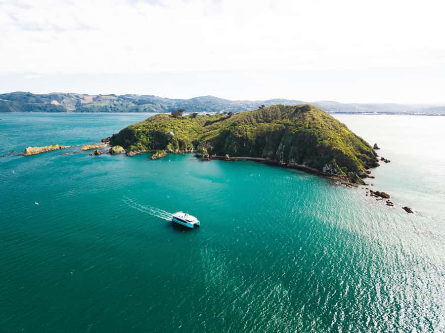 Wellington: Commentated Harbour Explorer tour - What the 90-minute harbour route includes