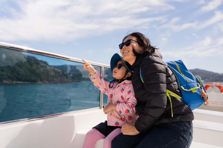 Wellington: Commentated Harbour Explorer tour - Te Whanganui-a-Tara, nature, and Wellington’s maritime past