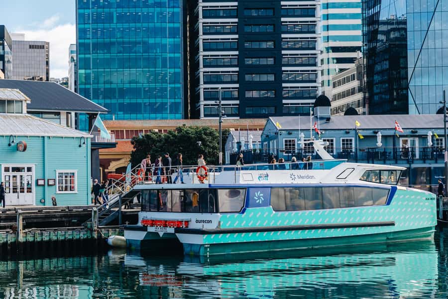 Wellington: Commentated Harbour Explorer tour - Comfort, weather, and seasickness