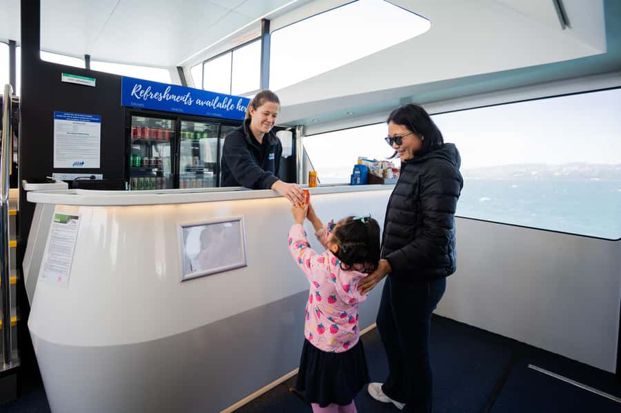 Wellington: Commentated Harbour Explorer tour - Accessibility and who should book