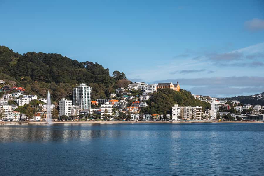 Wellington: Commentated Harbour Explorer tour - Booking flexibility and possible vessel changes
