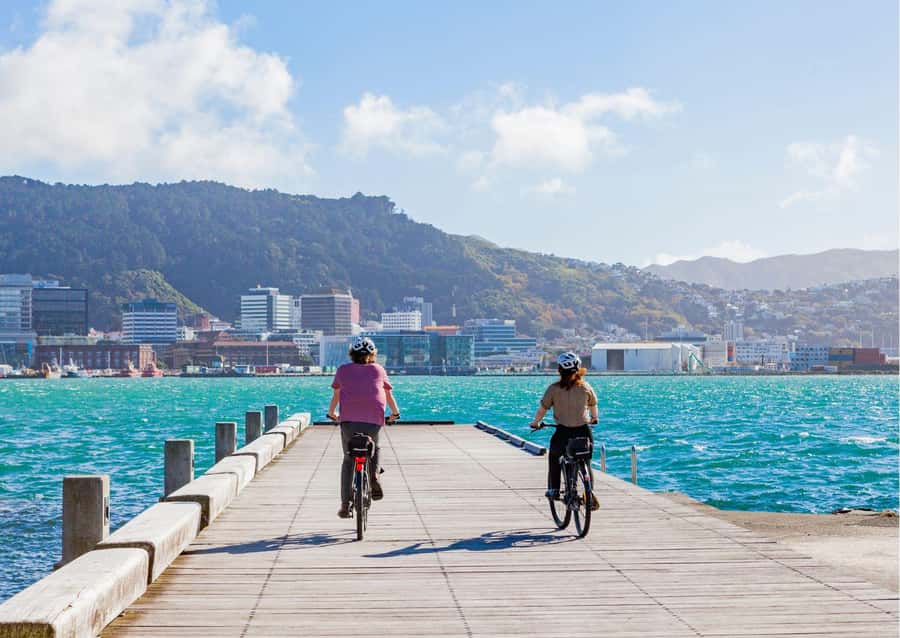 Wellington Electric Bike Rental - Miramar, Lyall Bay, and the eastern bays