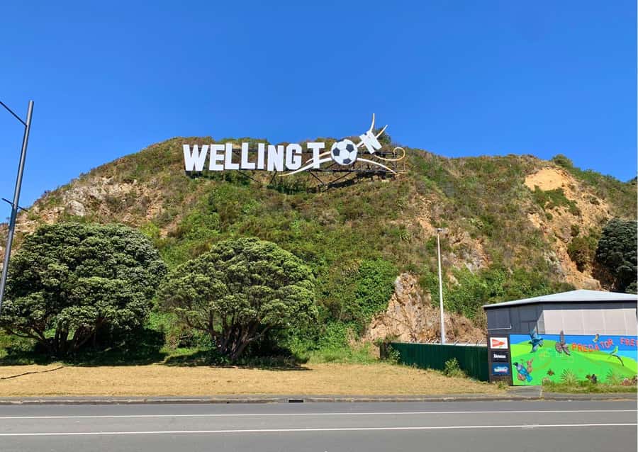 Wellington Electric Bike Rental - Weta Workshop and Te Papa fit different schedules