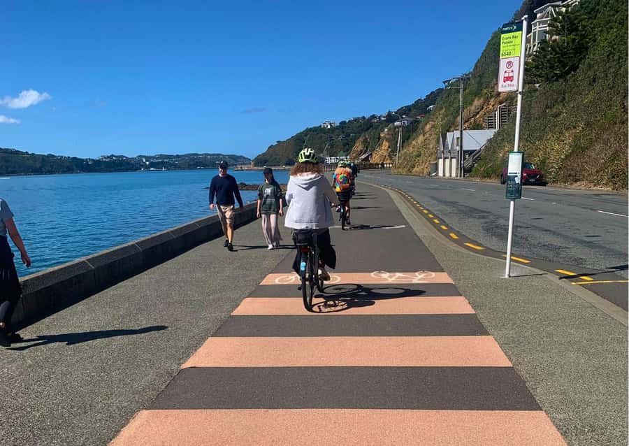 Wellington Electric Bike Rental - Weather, road sense, and daily comfort