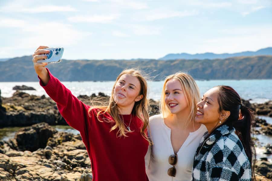 Wellington: Guided City Tour with Cable Car Ticket - Pickup details and the practical bits