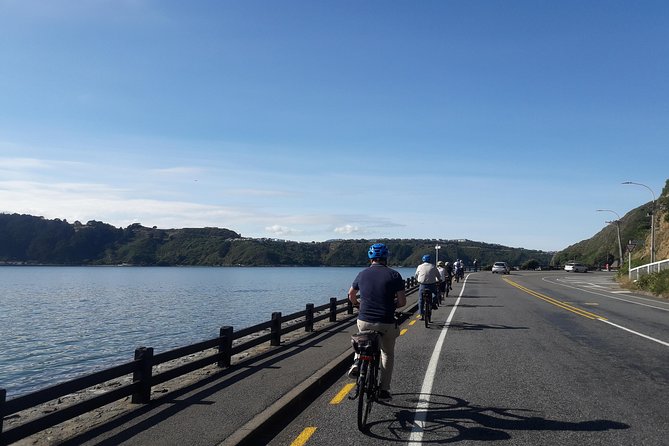 Wellington Guided eBike Tour-Cruise Shore Excursion - The Maupuia Hill climb and the best view