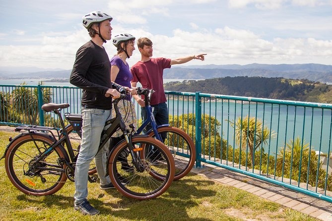 Wellington Guided eBike Tour-Cruise Shore Excursion - Waterfront sights, Māori stories, and city landmarks