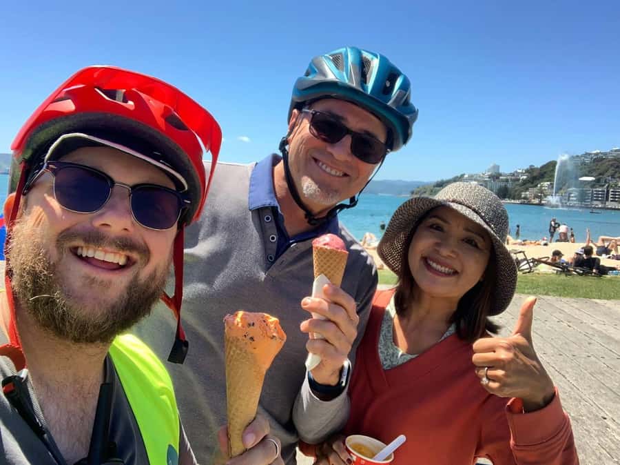 Wellington: Guided Sightseeing Tour by Electric Bike - Why the electric bike is a smart way to see Wellington