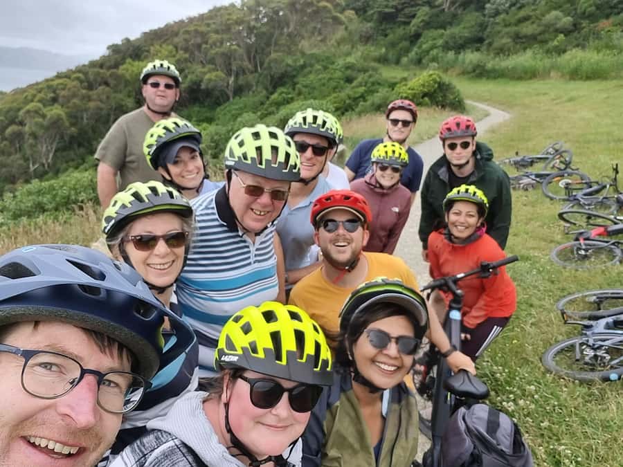 Wellington: Guided Sightseeing Tour by Electric Bike - Cruise ship timing and meeting details