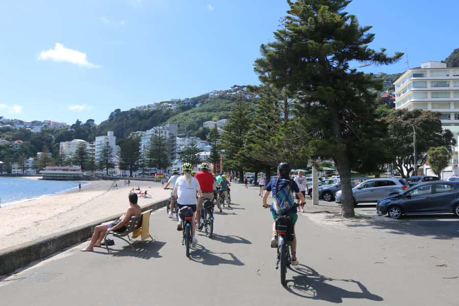 Wellington: Guided Sightseeing Tour by Electric Bike - The lookout and the best views of the morning
