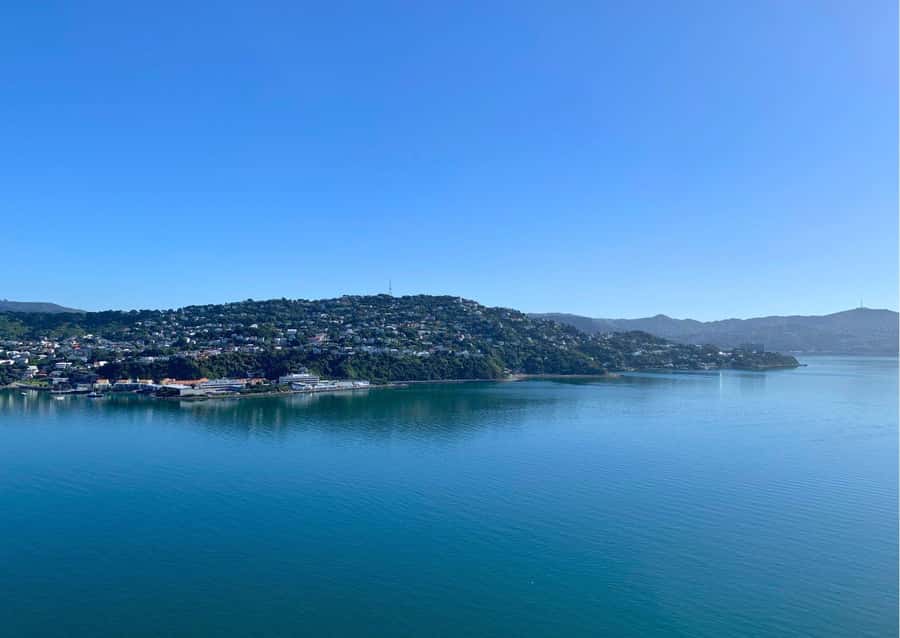 Wellington: Guided Sightseeing Tour by Electric Bike - Returning to central Wellington