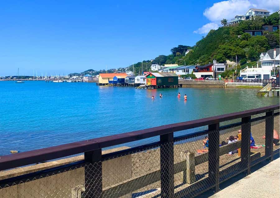 Wellington: Guided Sightseeing Tour by Electric Bike - What the guides add to the ride