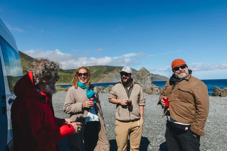 Wellington: Half Day Seal Coast Safari - Should you book the Wellington Seal Coast Safari?