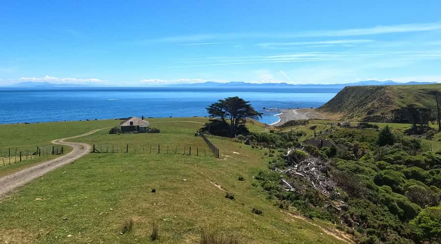 Wellington: Half Day Seal Coast Safari - What the weather changes