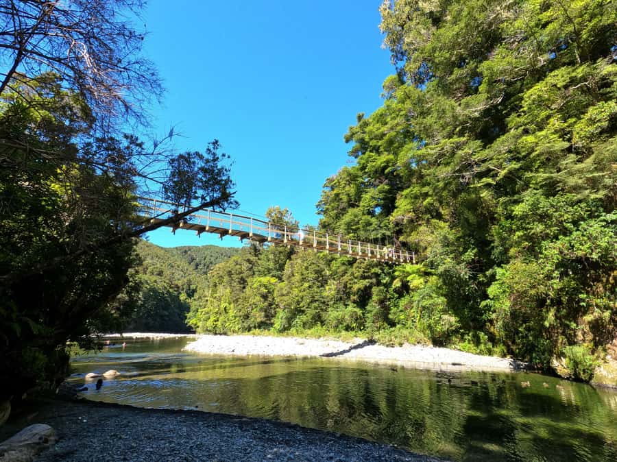 Wellington: Original LOTR Full-Day Tour with Weta & Lunch - Wētā Workshop and the craft behind Middle-earth