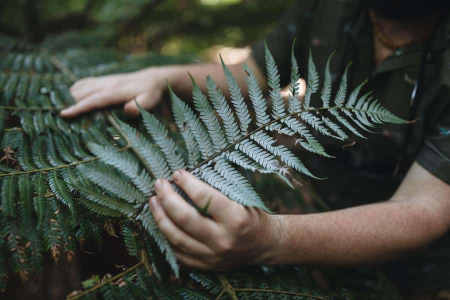 Wellington: Original LOTR Full-Day Tour with Weta & Lunch - The guides are the heart of the day