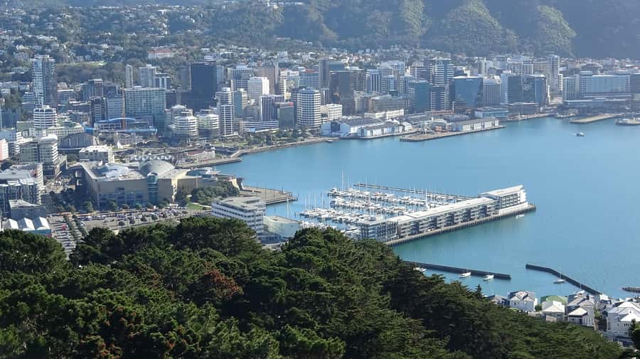 Wellington: Original LOTR Half-Day Experience with Weta - Key points to know before booking