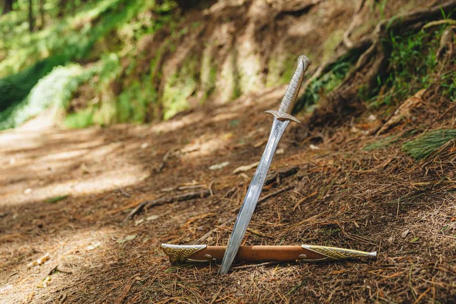 Wellington: Original LOTR Half-Day Experience with Weta - How the guides shape the experience