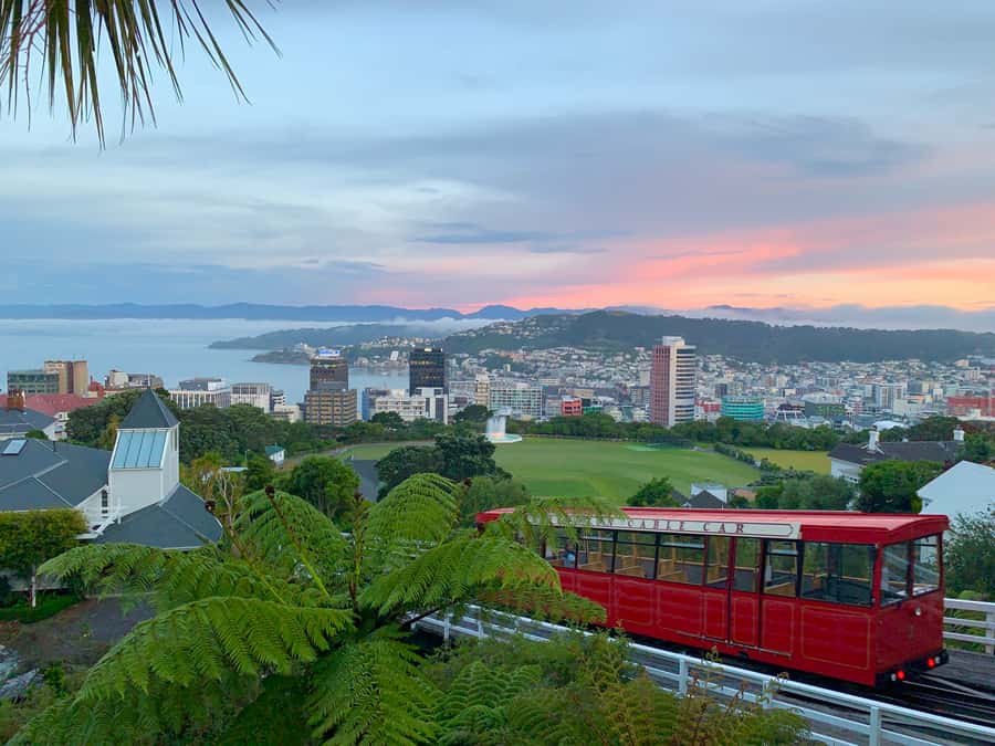 Wellington: Return Cable Car Ticket - At the top: views, gardens, and a small museum