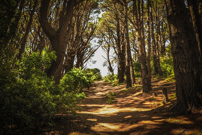 Wellington's Original HD LOTR Experience - includes Weta Tour - The guides make or break the day