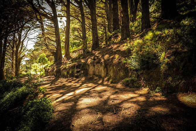 Wellington's Original HD LOTR Experience - includes Weta Tour - What the $108.60 price buys you