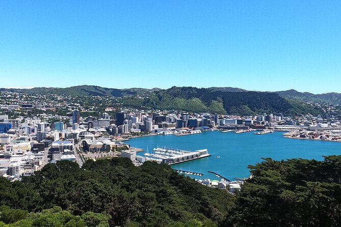 Wellington's Original HD LOTR Experience - includes Weta Tour - Who will enjoy it most