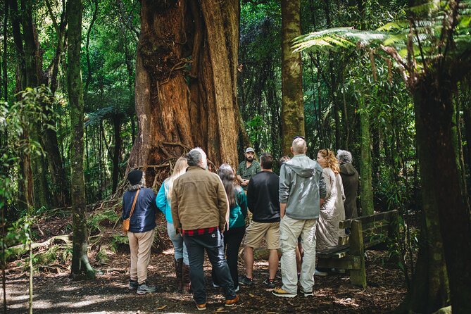 Wellington's Original LOTR Experience - includes Weta and Lunch - Key points at a glance