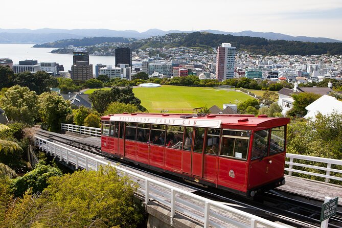 Wellington Shore Excursion City Sightseeing Tour - Key things to know before you book