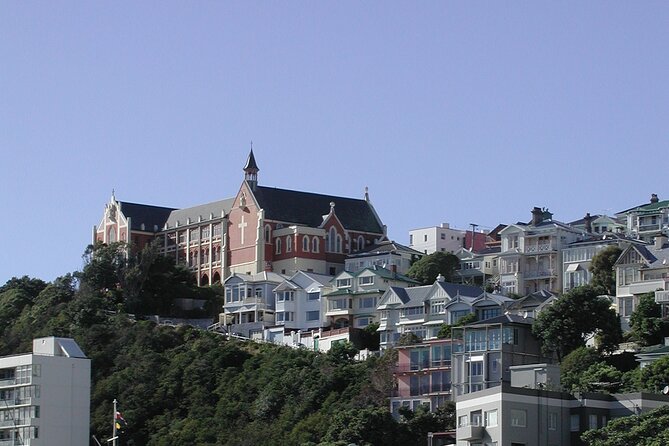 Wellington Shore Excursion City Sightseeing Tour - What the guiding adds