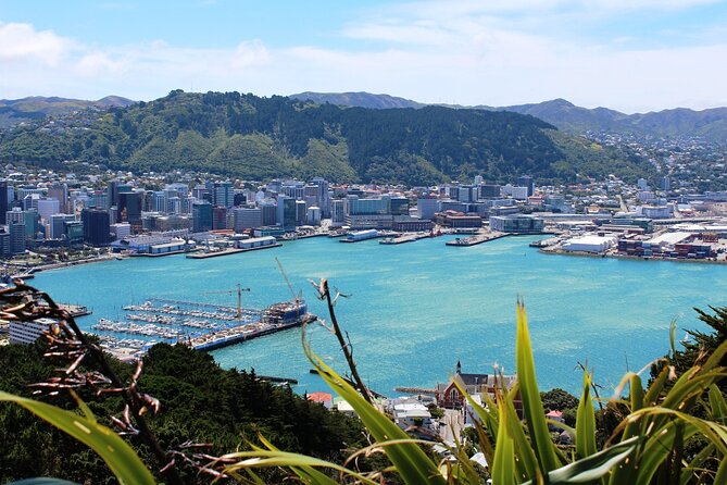 Wellington Shore Excursion City Sightseeing Tour - How much value do you get for $96.19?