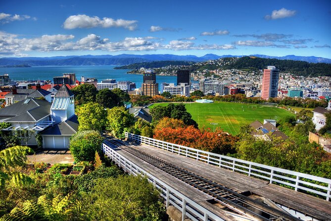 Wellington Shore Excursion City Sightseeing Tour - Timing, mobility, and small practical details