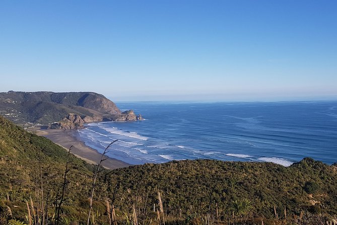 West Coast Discovery - Piha Beach or Muriwai Beach from Auckland - Through the Waitakere Ranges to Arataki Centre