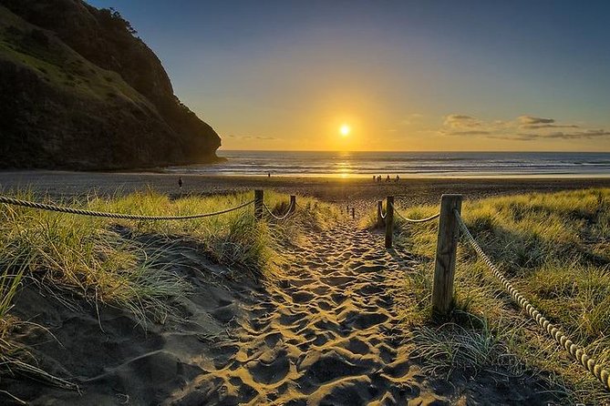 West Coast Discovery - Piha Beach or Muriwai Beach from Auckland - Muriwai and the gannet colony