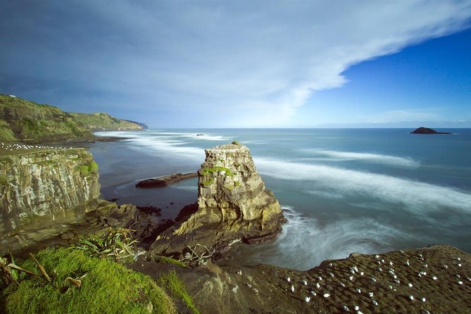 West Coast Discovery - Piha Beach or Muriwai Beach from Auckland - Price, weather, and the nonrefundable risk
