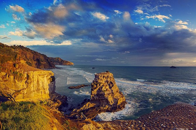 West Coast Discovery - Piha Beach or Muriwai Beach from Auckland - Who should book this west-coast outing?