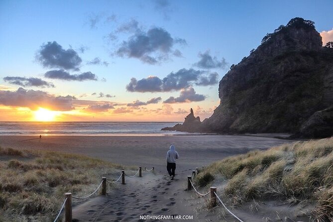 West Coast Discovery Piha Beach Private Tour - Why Piha gives this Auckland tour its character