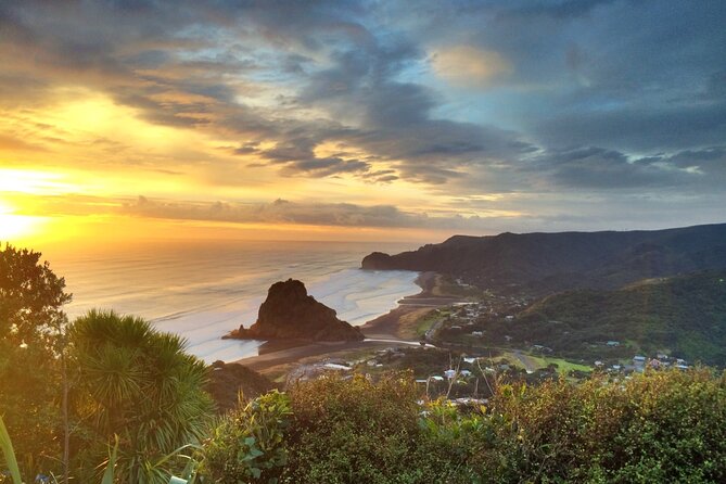 West Coast Discovery Piha Beach Private Tour - Who should book this West Coast outing?