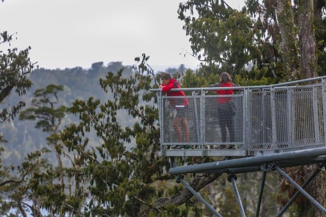 West Coast Full Day Tour - How the guiding affects the day