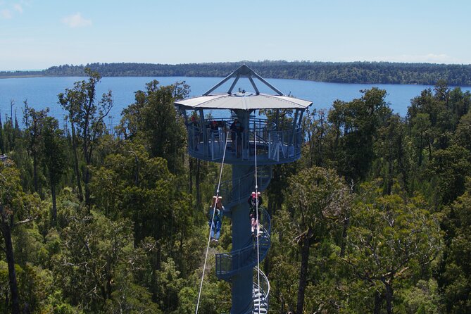 West Coast Tower Zipline & Treetop Walk Combo - Key points to know before you go