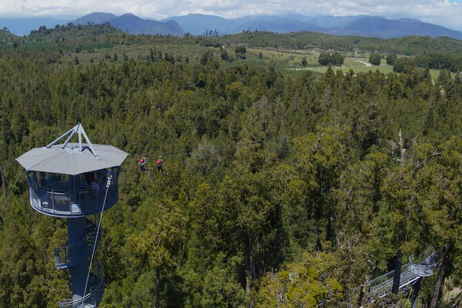 West Coast Tower Zipline & Treetop Walk Combo - The tandem flight above the forest