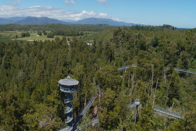 West Coast Tower Zipline & Treetop Walk Combo - What the two-hour timing really includes